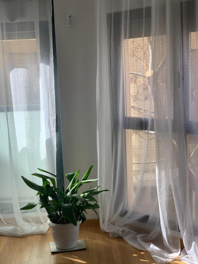 New, Cozy Apartment Plaza Del Pilar-Fuenclara 사라고사 외부 사진